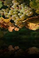 your own picture goes here sized 253 * 368